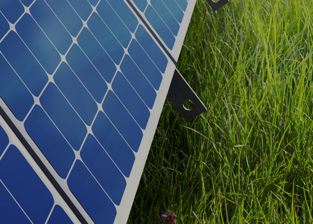 Think Green Partners